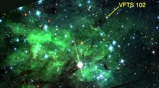  VFTS 102 w Mgławicy Tarantula