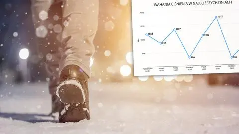 Po Nowym Roku sypnie śniegiem