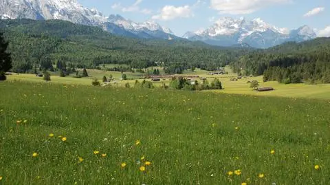 Końcówka sierpnia uratuje lato