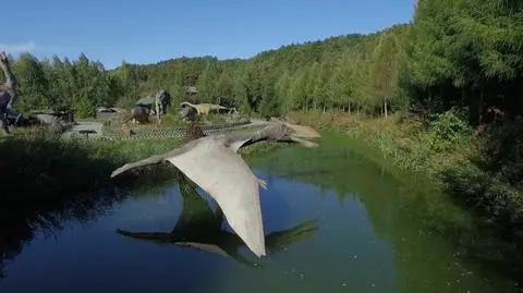 Jura Park w Bałtowie 