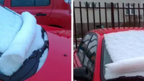 Śnieg się zwija, zima zostaje