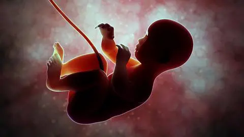 Płodom także szkodzi smog