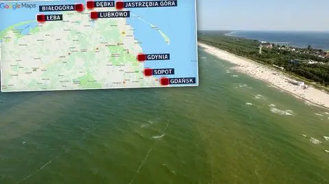 Sinice zagrażają naszemu zdrowiu. Przestrzegajmy zakazu kąpieli 