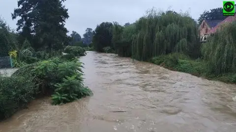 Po ulewach wezbrały rzeki. Przekroczone stany alarmowe