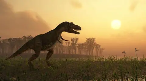 Meteoryt niewinny. Wszystko przez wulkany 