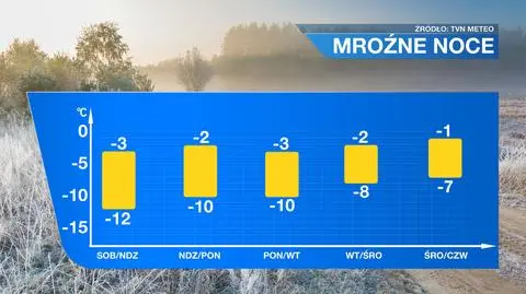 W najbliższych nocach mróz nie odpuści