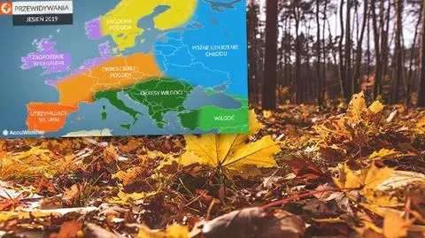 Jaka będzie jesień w Europie? Przewidywania amerykańskich meteorologów