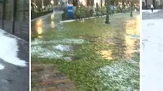 Grad, który trwał trzydzieści minut zerwał liscie z drzew, potłukł latanie. Po opadach, Puelba przybrała krajobraz zimowy. 