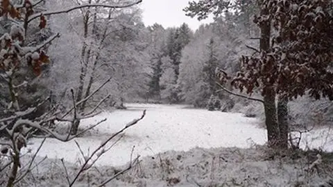 Śnieg na Pomorzu Zachodnim 