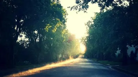 Tylko część dróg zmoczy deszcz