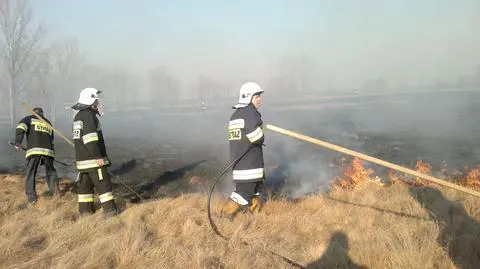 "Gaszenie głupoty ludzkiej". Płoną trawy, 4200 interwencji strażaków w dwa dni