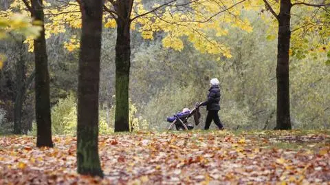 W nocy w Krakowie termometry pokażą 0 st. C