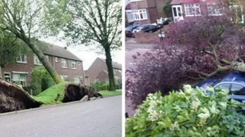 Skutki przejścia orkanu 