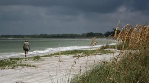 Prognoza pogody na długi weekend: mżawka, deszcz i lokalne burze