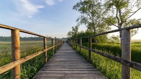 Na ogół pogodny dzień