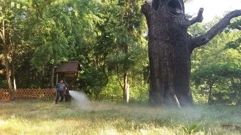 Kroplówka dla "Chrobrego". W przetrwaniu upałów ma pomóc podlewanie