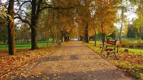 Czwartek będzie bardzo pogodny