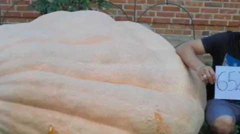 Ale dynia! To prawdziwy gigant