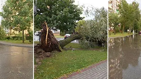 126 kilometrów na godzinę. Burzowe porywy wiatru siały zniszczenie