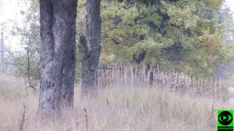 Wszystkich Świętych będzie ponure i deszczowe 