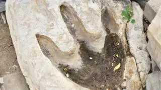 Badacze wiele obiecują sobie po analizie