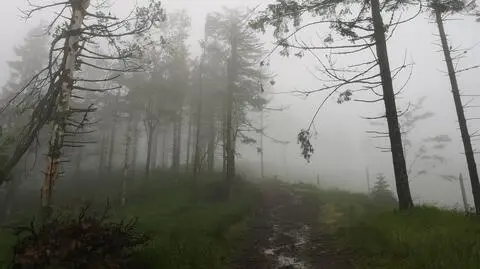 Trudne warunki w Beskidach