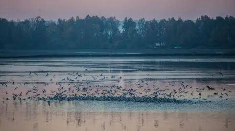 Zapowiada się pogodny dzień