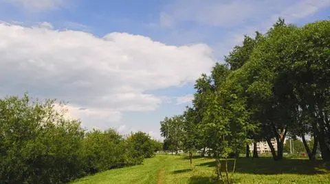 Pogoda będzie zróżnicowana, miejscami może zagrzmieć