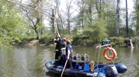 Sowa wisiała na drzewie w rybackiej sieci