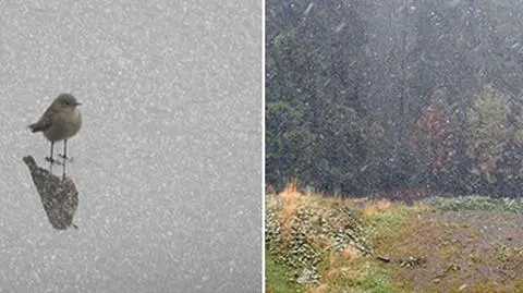 Przymrozki w nocy, śnieg z deszczem za dnia. Część z was poczuła zimę