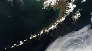 Gruby lód skuł wybrzeże Alaski