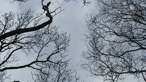 Dzień bez deszczu i chłodu