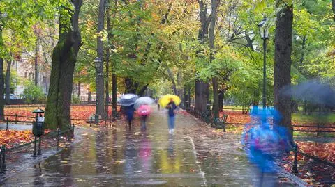 Wiele deszczowych miejsc
