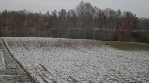 Aktualnie czytasz: Spadł pierwszy listopadowy śnieg