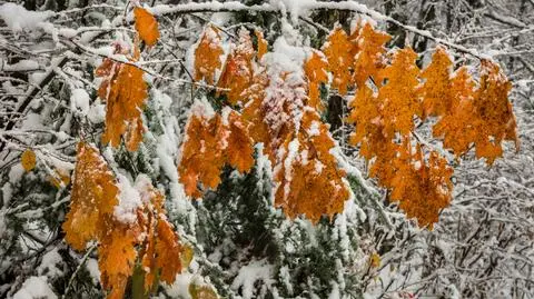 Może spaść śnieg