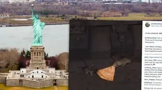 Walka szczurów o pizzę