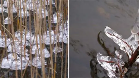 Sople lodu jak pole konwalii i "babeczki"