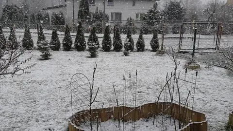 Aktualnie czytasz: Pierwszy śnieg tej wiosny
