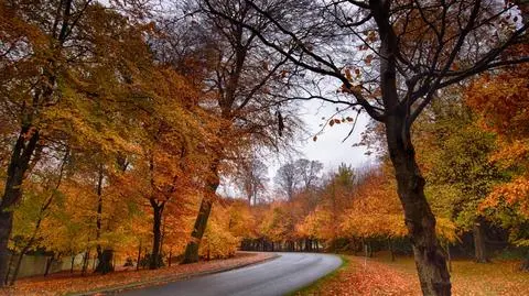 To może być pochmurny dzień