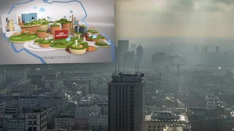 Smog towarzyszy Polakom w codziennym życiu