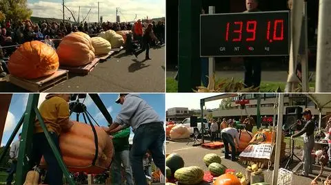 Rekordowy festiwal żniw w Minnesocie