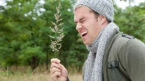 Bardzo złe wieści dla alergików. Pyłków dwukrotnie więcej w 2040