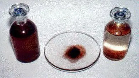 Glony zabarwiły deszcz na czerwono