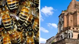Świątynia buddyjska Chedi Luang w Tajlandii