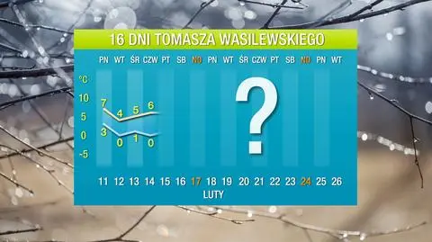 Zima prawie nieobecna