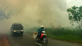 Pożary w Indonezji