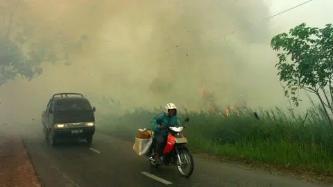 El Nino spotęguje pożary lasów