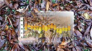Temperatura na następne 16 dni
