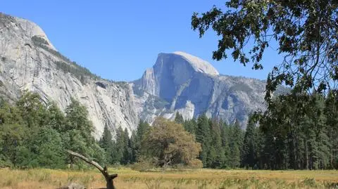 Już 14 ofiar parku Yosemite