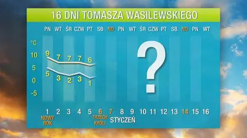 Na początku stycznia będzie ciepło